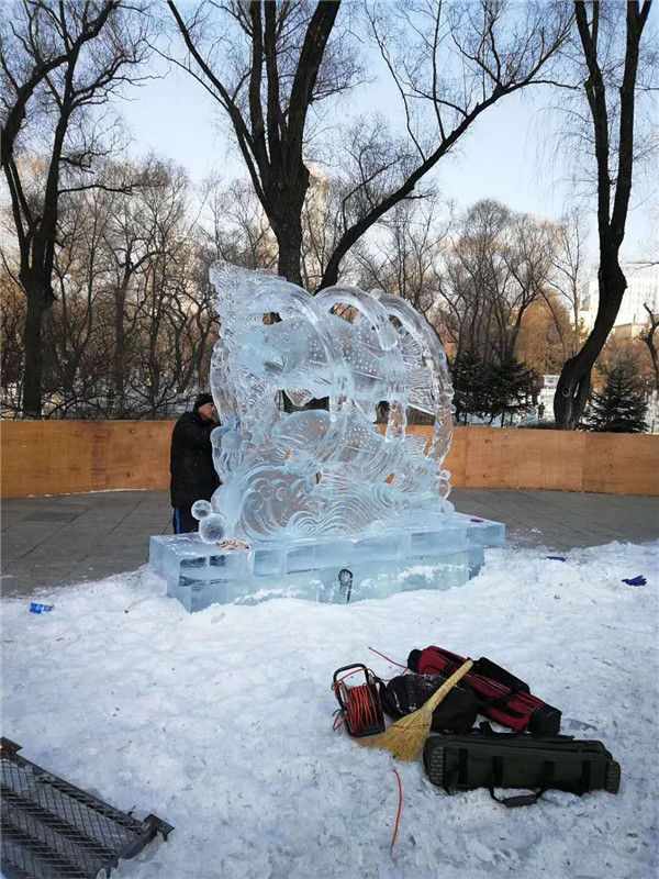 第38屆全國(guó)專(zhuān)業(yè)冰雕比賽 (7)