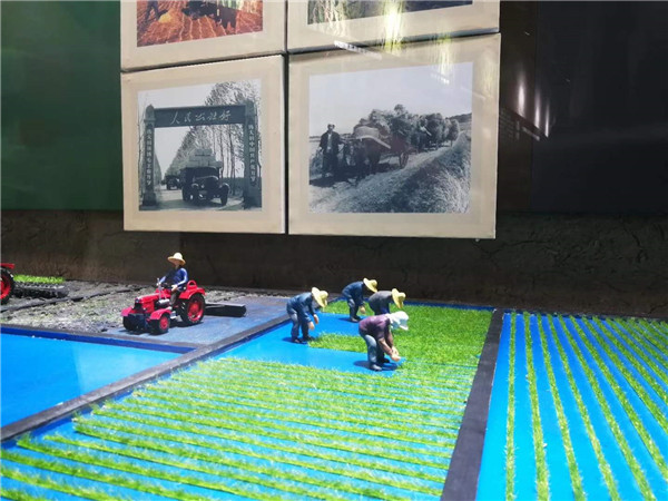 五常博物館微型景觀制作 (12)