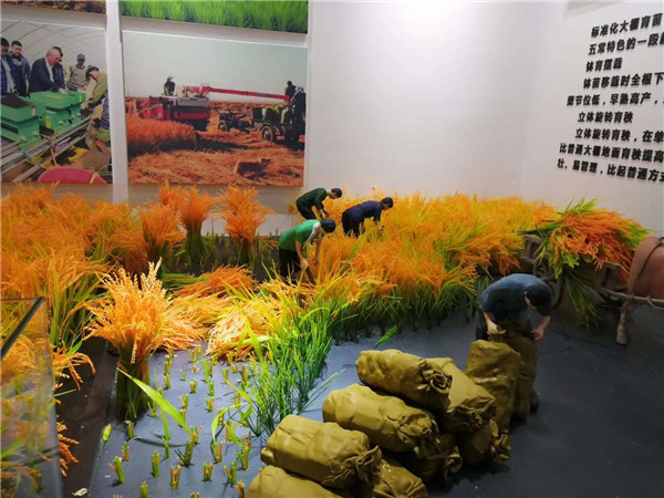 五常博物館微型景觀制作 (6)